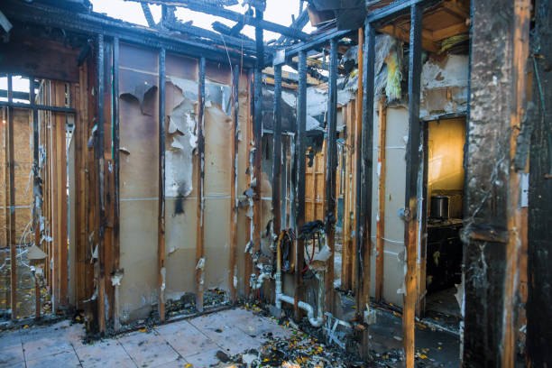 Professional Odor Removal technician working in Nappanee, IN